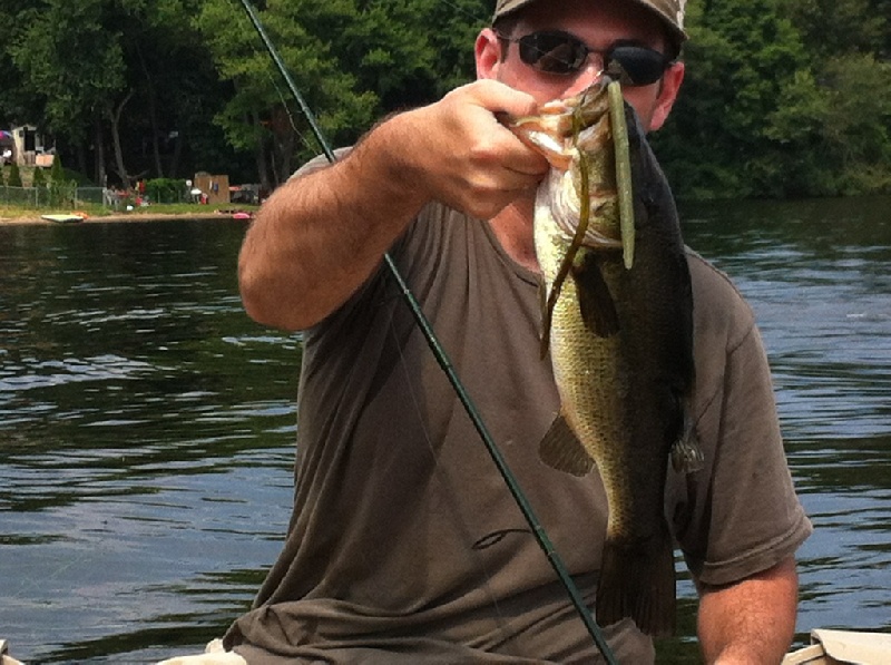 Bass under the docks