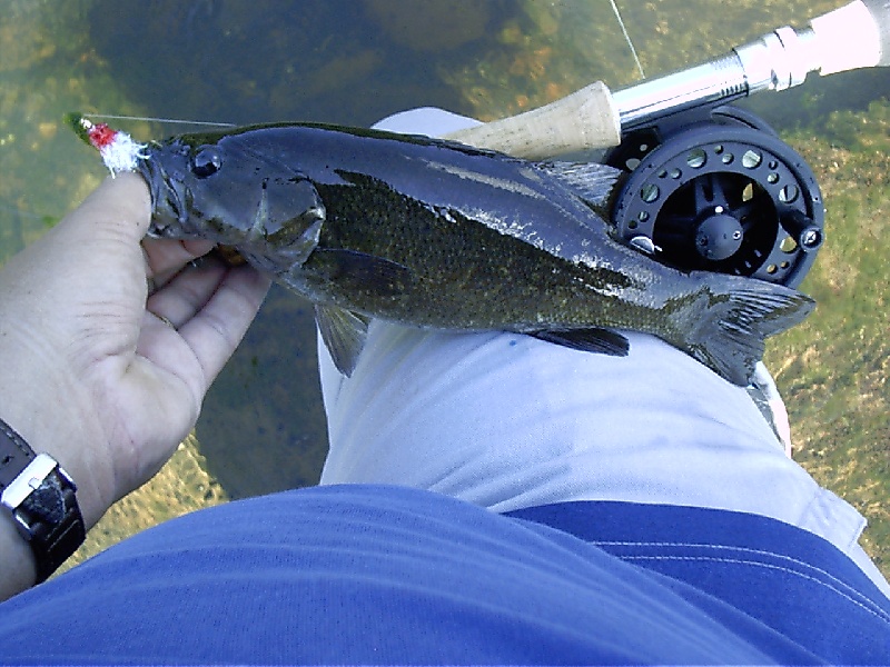 12in Smallie