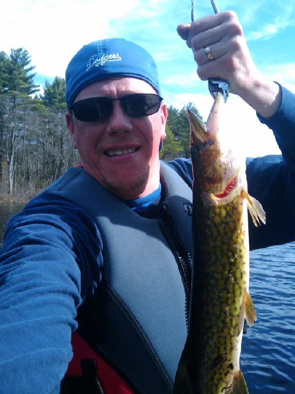 pickerel