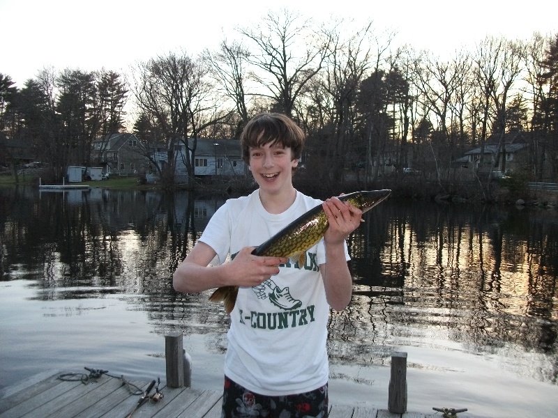 big chain pickerel